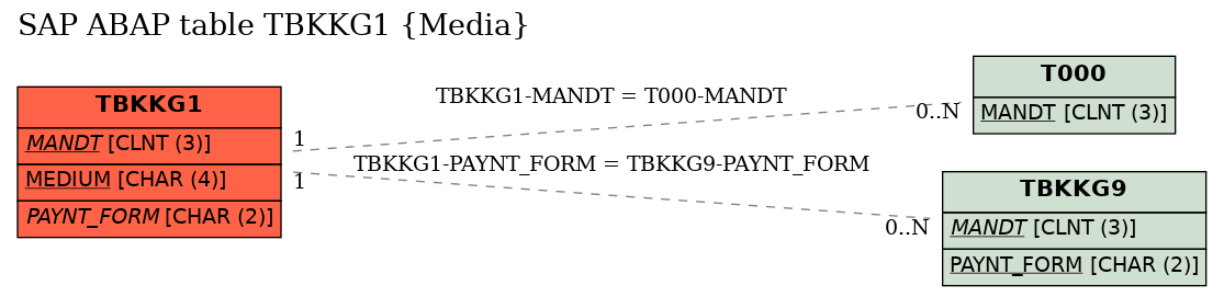 E-R Diagram for table TBKKG1 (Media)