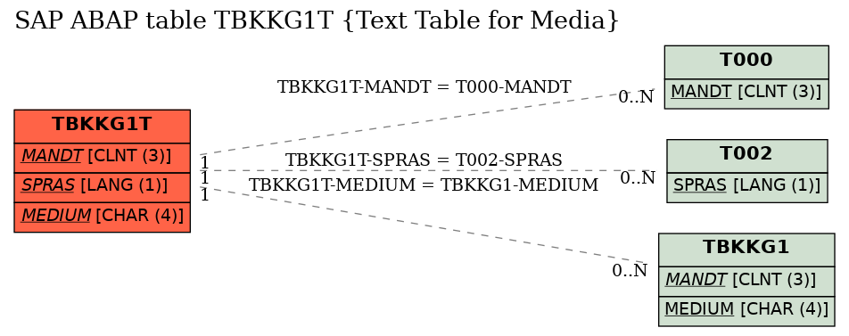 E-R Diagram for table TBKKG1T (Text Table for Media)