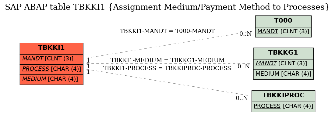 E-R Diagram for table TBKKI1 (Assignment Medium/Payment Method to Processes)