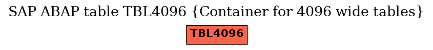 E-R Diagram for table TBL4096 (Container for 4096 wide tables)