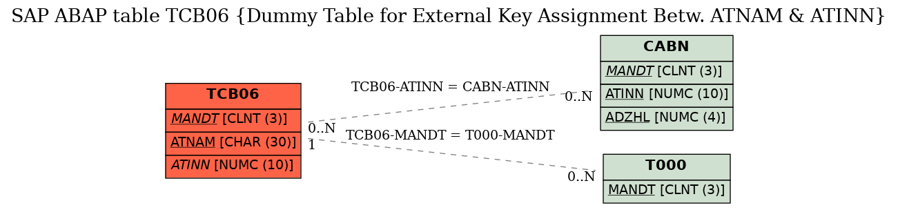 E-R Diagram for table TCB06 (Dummy Table for External Key Assignment Betw. ATNAM & ATINN)