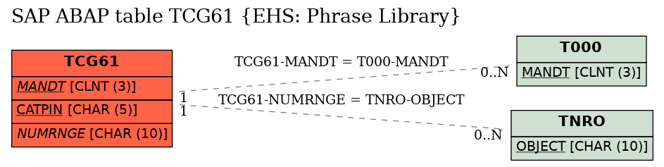 E-R Diagram for table TCG61 (EHS: Phrase Library)