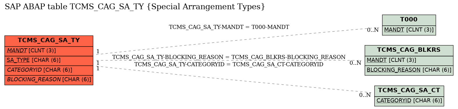 E-R Diagram for table TCMS_CAG_SA_TY (Special Arrangement Types)