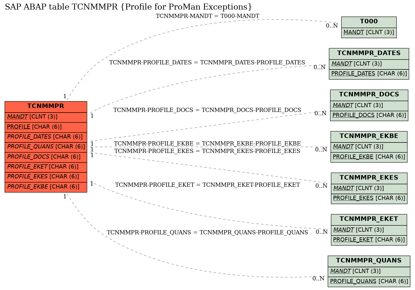 E-R Diagram for table TCNMMPR (Profile for ProMan Exceptions)