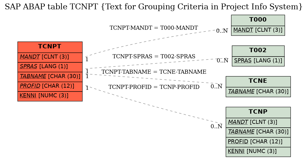 E-R Diagram for table TCNPT (Text for Grouping Criteria in Project Info System)