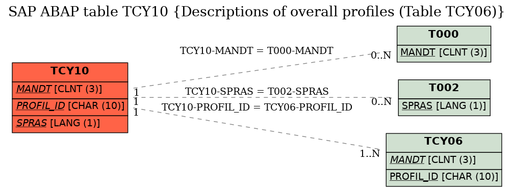 E-R Diagram for table TCY10 (Descriptions of overall profiles (Table TCY06))