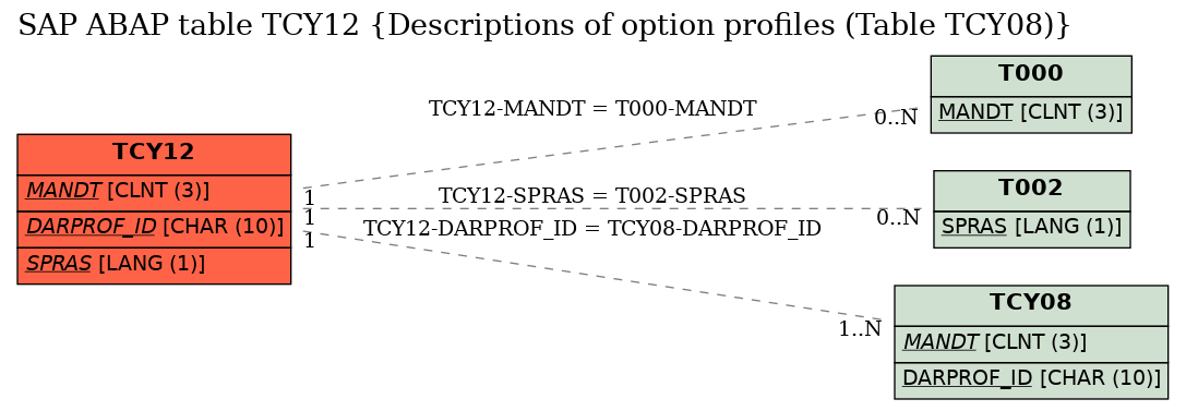 E-R Diagram for table TCY12 (Descriptions of option profiles (Table TCY08))