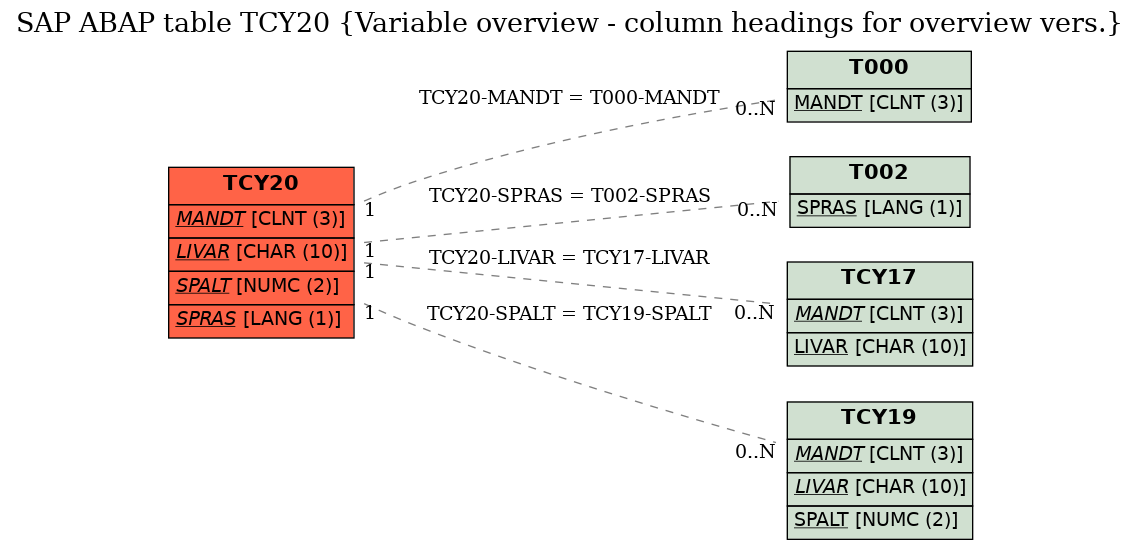 E-R Diagram for table TCY20 (Variable overview - column headings for overview vers.)