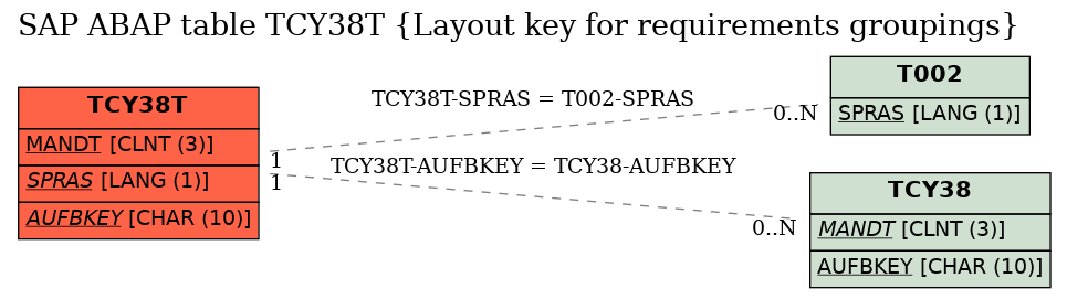 E-R Diagram for table TCY38T (Layout key for requirements groupings)