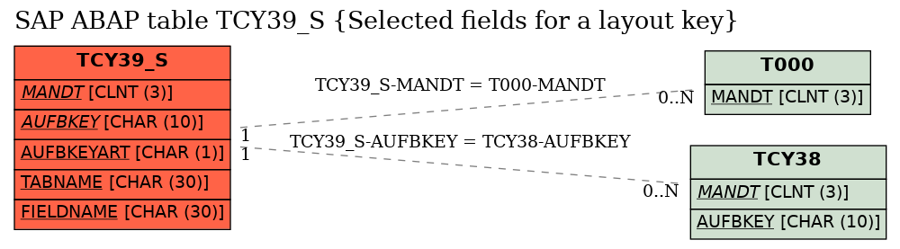 E-R Diagram for table TCY39_S (Selected fields for a layout key)