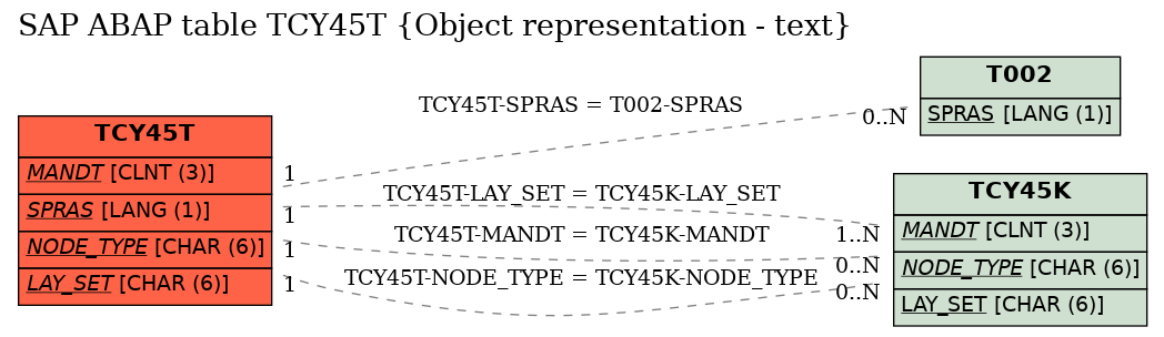 E-R Diagram for table TCY45T (Object representation - text)