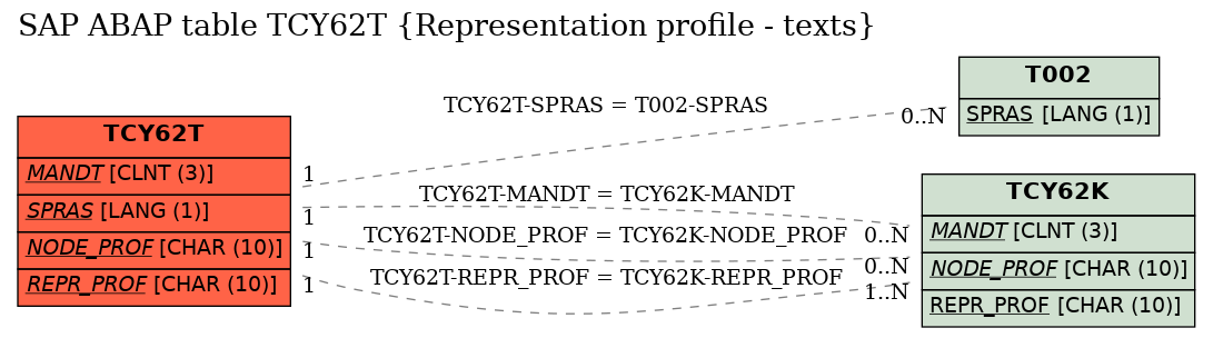 E-R Diagram for table TCY62T (Representation profile - texts)