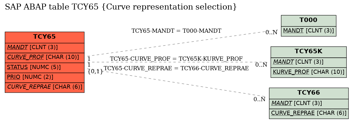 E-R Diagram for table TCY65 (Curve representation selection)