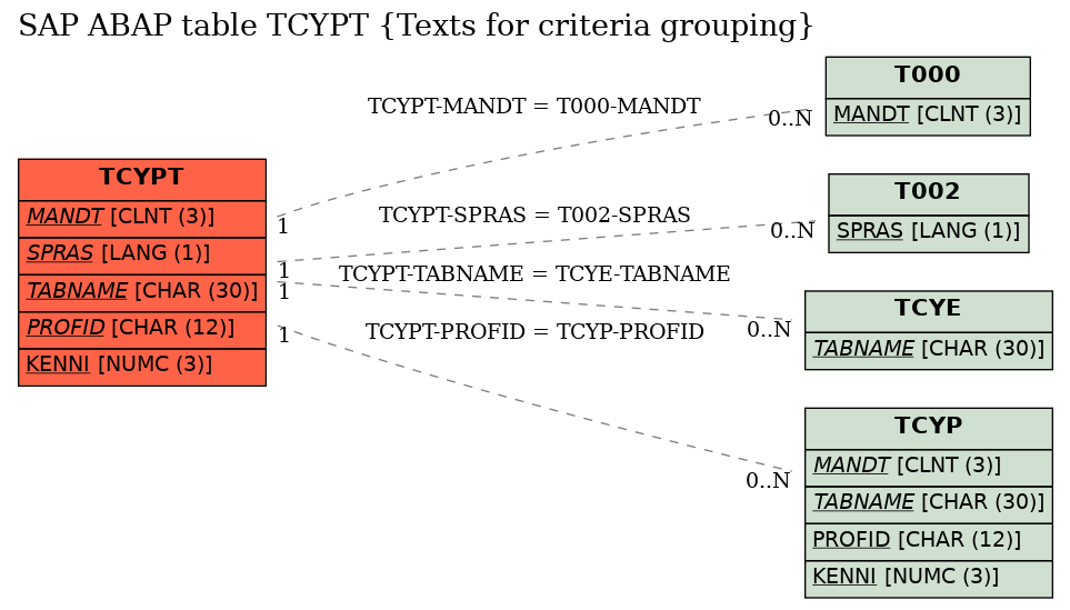 E-R Diagram for table TCYPT (Texts for criteria grouping)