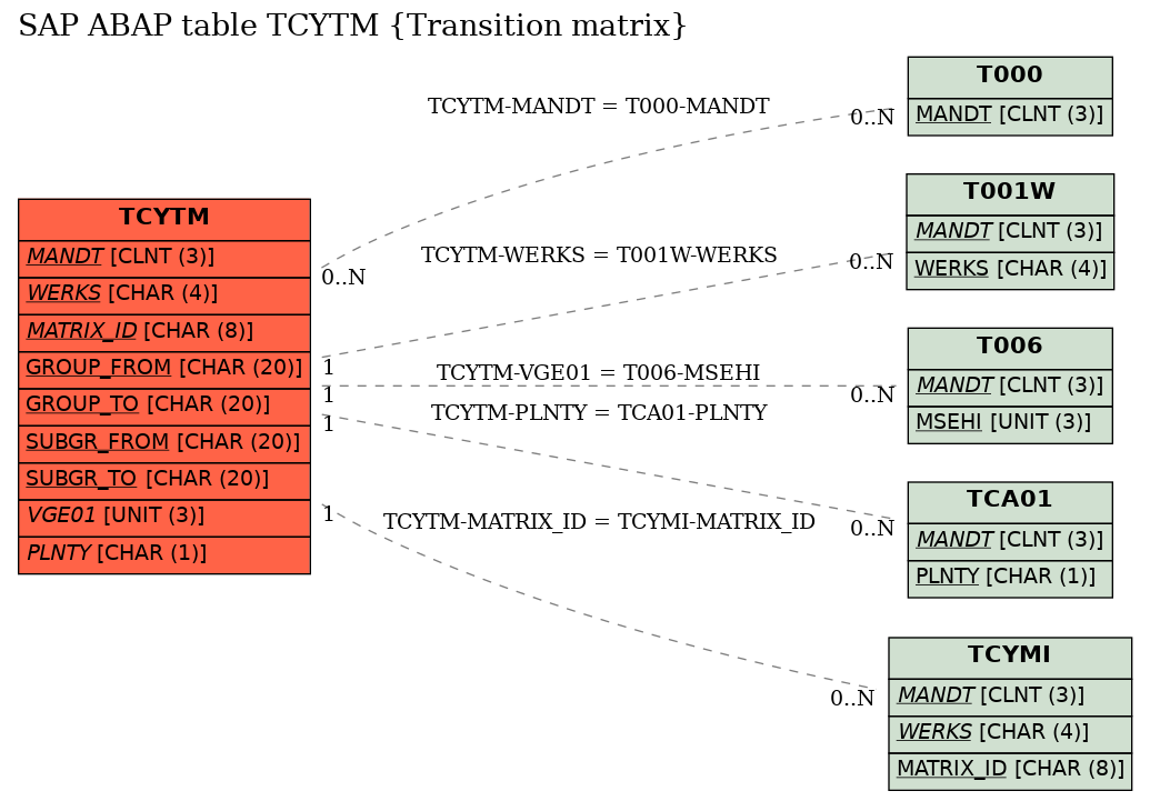 E-R Diagram for table TCYTM (Transition matrix)