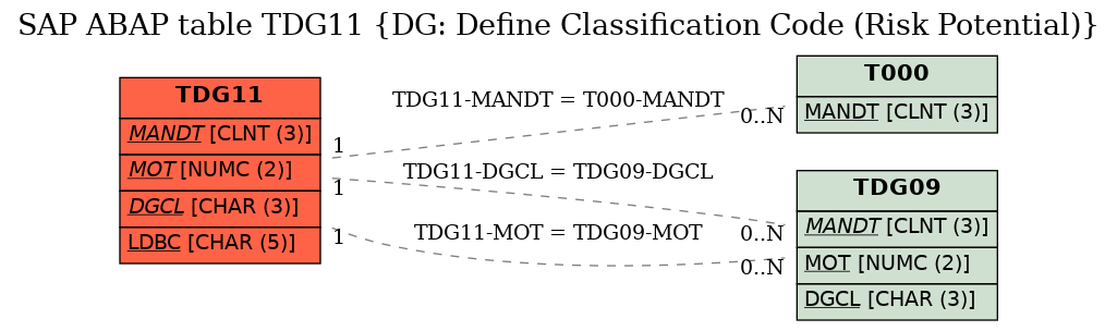 E-R Diagram for table TDG11 (DG: Define Classification Code (Risk Potential))