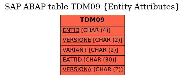 E-R Diagram for table TDM09 (Entity Attributes)