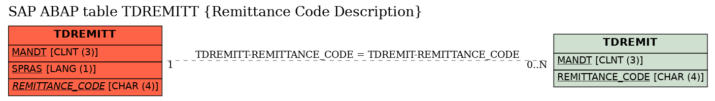 E-R Diagram for table TDREMITT (Remittance Code Description)