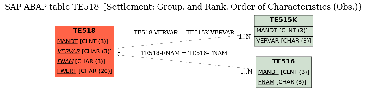 E-R Diagram for table TE518 (Settlement: Group. and Rank. Order of Characteristics (Obs.))