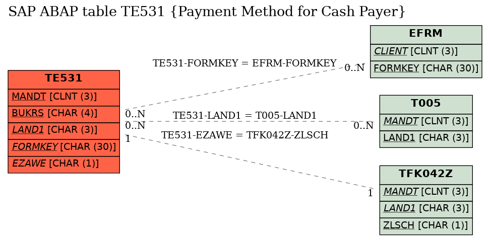 E-R Diagram for table TE531 (Payment Method for Cash Payer)