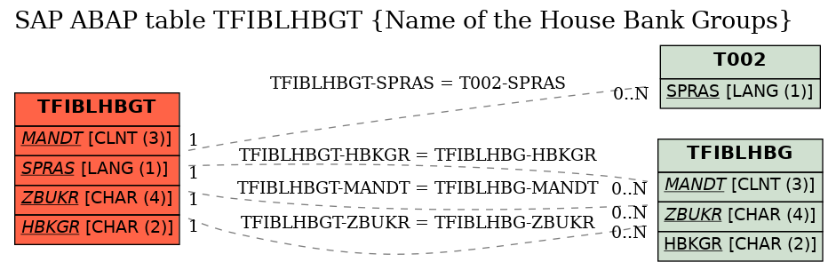 E-R Diagram for table TFIBLHBGT (Name of the House Bank Groups)