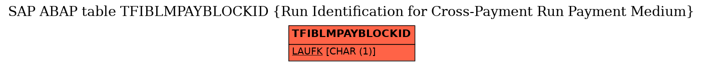 E-R Diagram for table TFIBLMPAYBLOCKID (Run Identification for Cross-Payment Run Payment Medium)