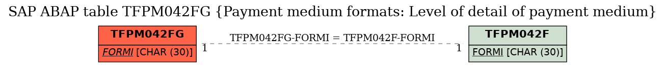 E-R Diagram for table TFPM042FG (Payment medium formats: Level of detail of payment medium)