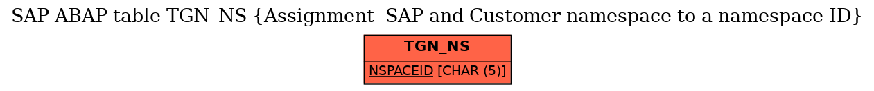 E-R Diagram for table TGN_NS (Assignment  SAP and Customer namespace to a namespace ID)