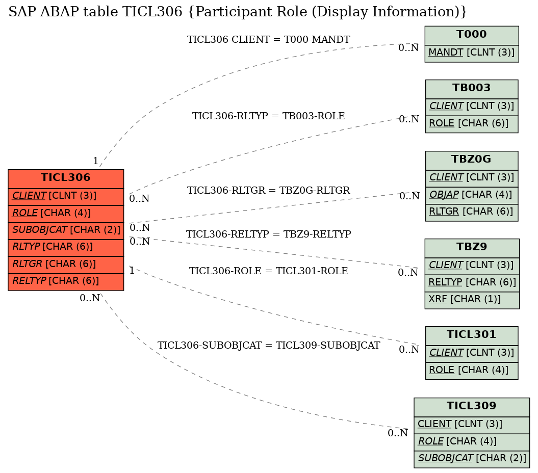 E-R Diagram for table TICL306 (Participant Role (Display Information))