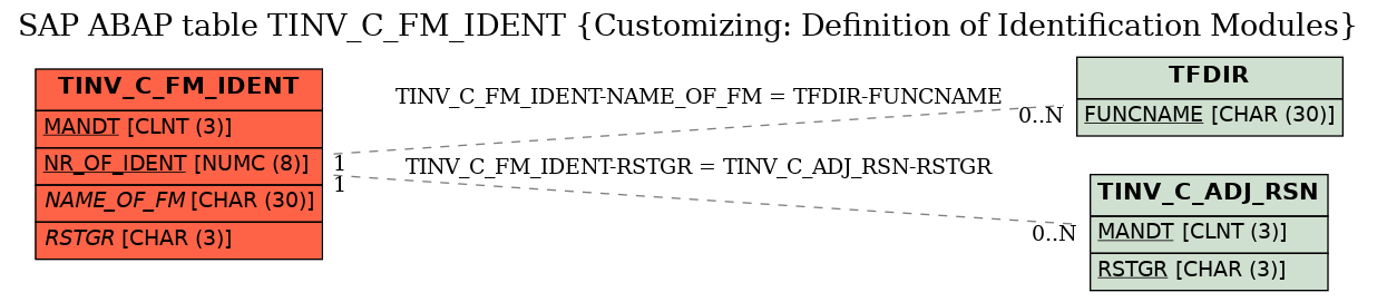 E-R Diagram for table TINV_C_FM_IDENT (Customizing: Definition of Identification Modules)