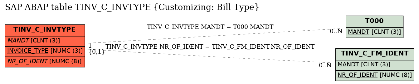 E-R Diagram for table TINV_C_INVTYPE (Customizing: Bill Type)