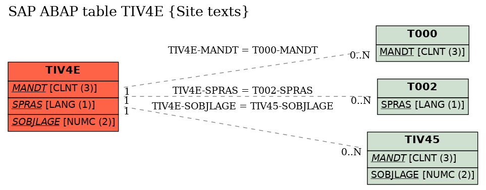 E-R Diagram for table TIV4E (Site texts)