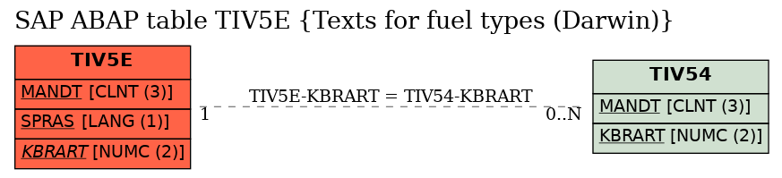 E-R Diagram for table TIV5E (Texts for fuel types (Darwin))