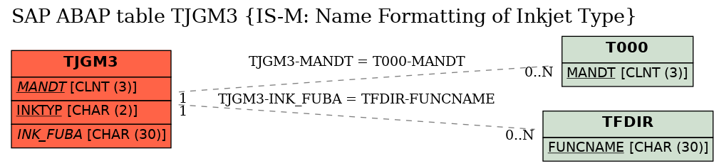 E-R Diagram for table TJGM3 (IS-M: Name Formatting of Inkjet Type)