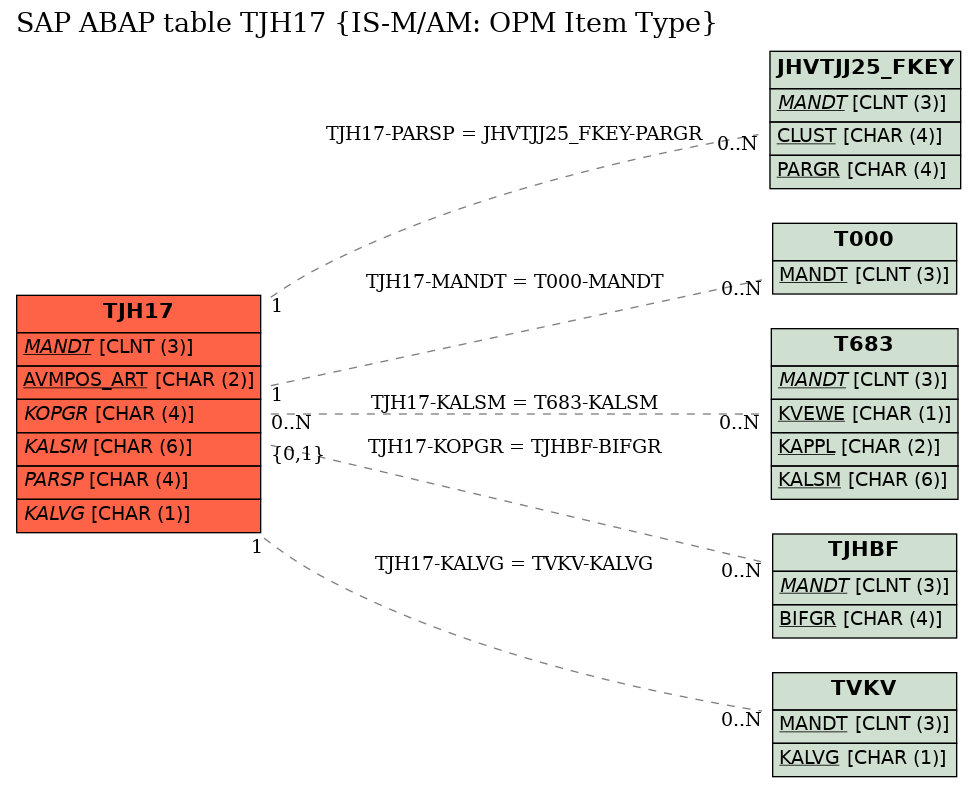 E-R Diagram for table TJH17 (IS-M/AM: OPM Item Type)