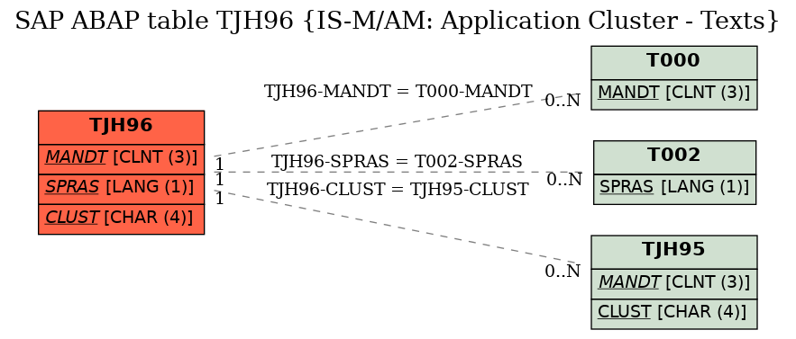 E-R Diagram for table TJH96 (IS-M/AM: Application Cluster - Texts)