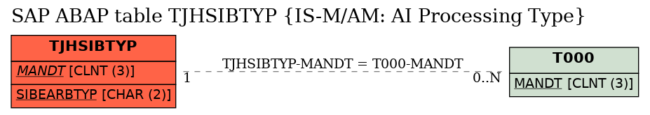 E-R Diagram for table TJHSIBTYP (IS-M/AM: AI Processing Type)