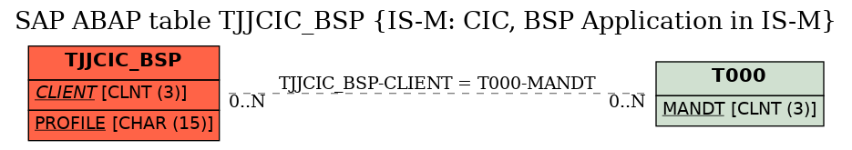 E-R Diagram for table TJJCIC_BSP (IS-M: CIC, BSP Application in IS-M)