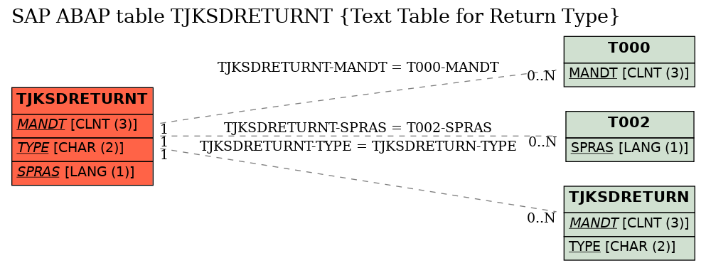 E-R Diagram for table TJKSDRETURNT (Text Table for Return Type)