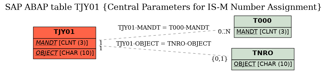 E-R Diagram for table TJY01 (Central Parameters for IS-M Number Assignment)