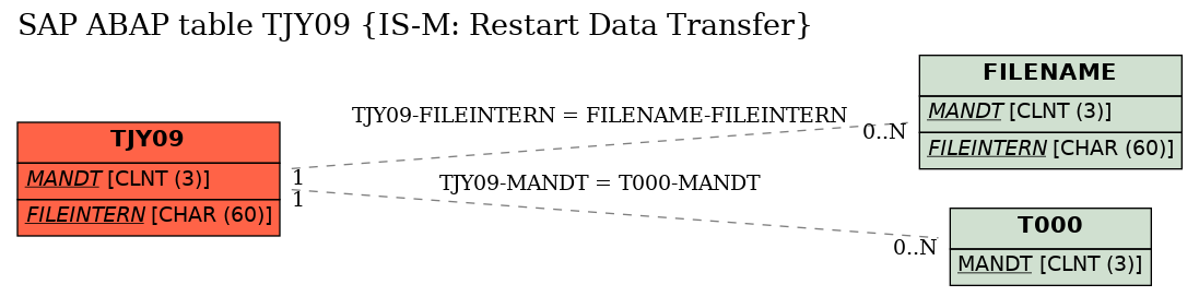 E-R Diagram for table TJY09 (IS-M: Restart Data Transfer)