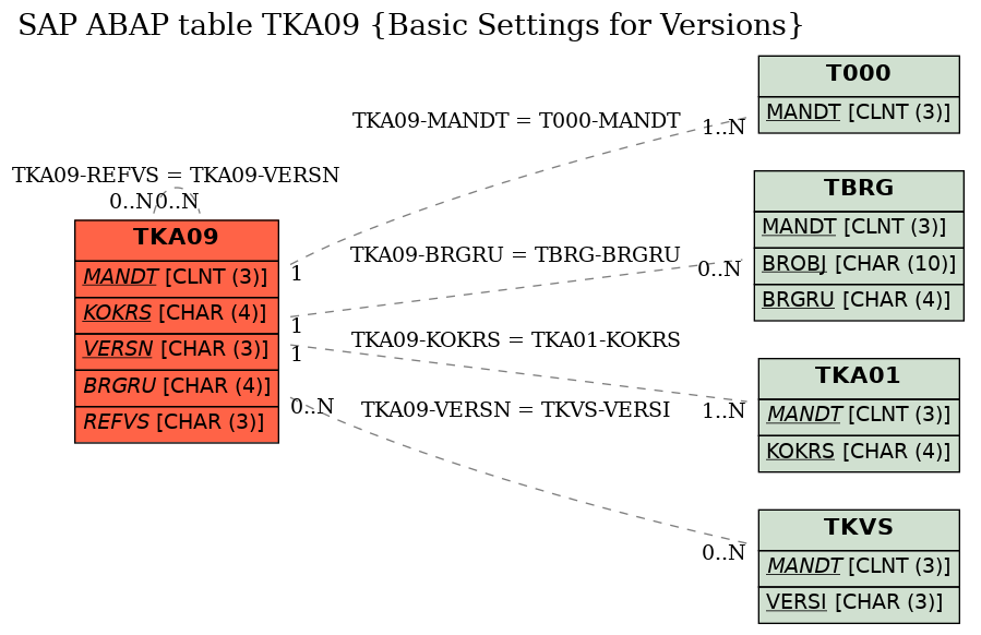 E-R Diagram for table TKA09 (Basic Settings for Versions)