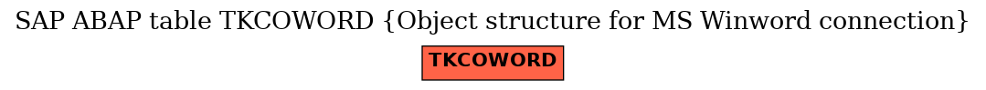 E-R Diagram for table TKCOWORD (Object structure for MS Winword connection)