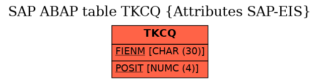 E-R Diagram for table TKCQ (Attributes SAP-EIS)