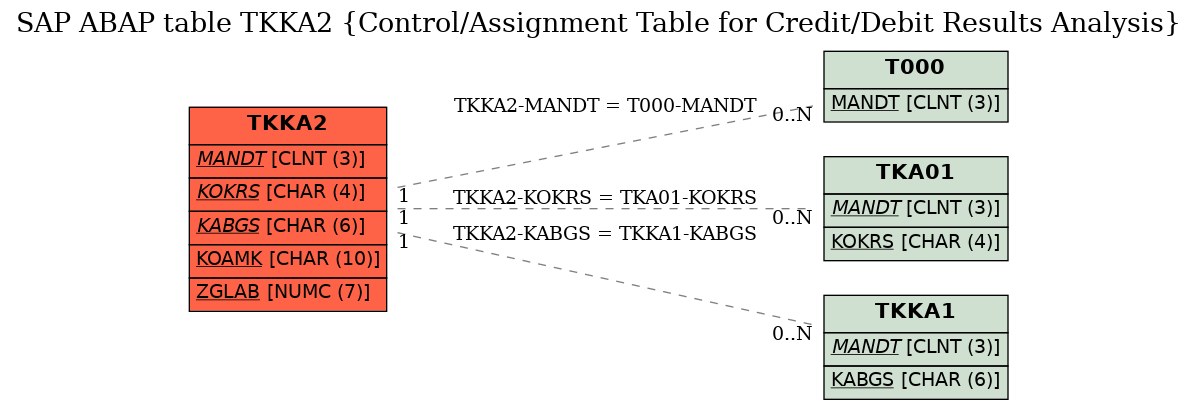 E-R Diagram for table TKKA2 (Control/Assignment Table for Credit/Debit Results Analysis)