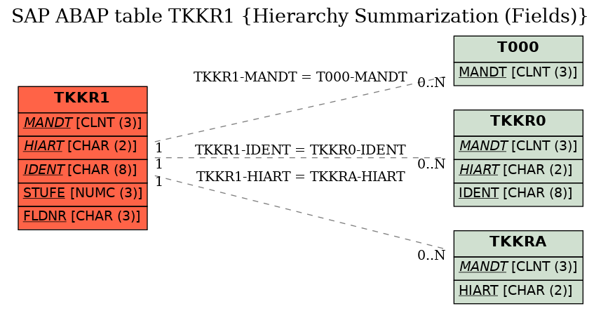 E-R Diagram for table TKKR1 (Hierarchy Summarization (Fields))