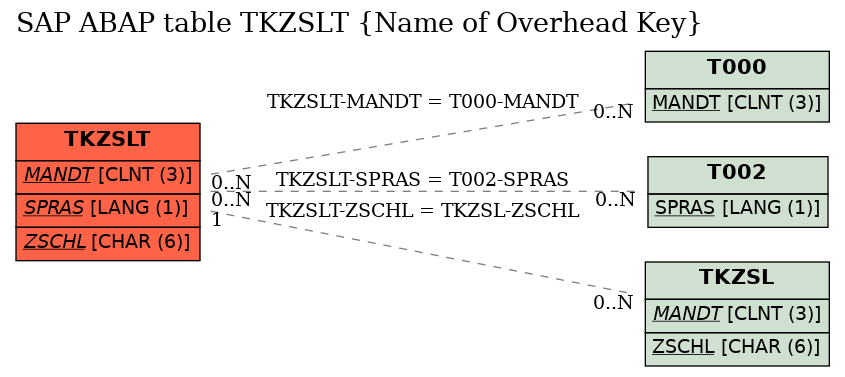 E-R Diagram for table TKZSLT (Name of Overhead Key)