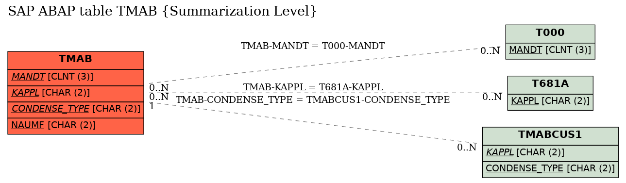 E-R Diagram for table TMAB (Summarization Level)