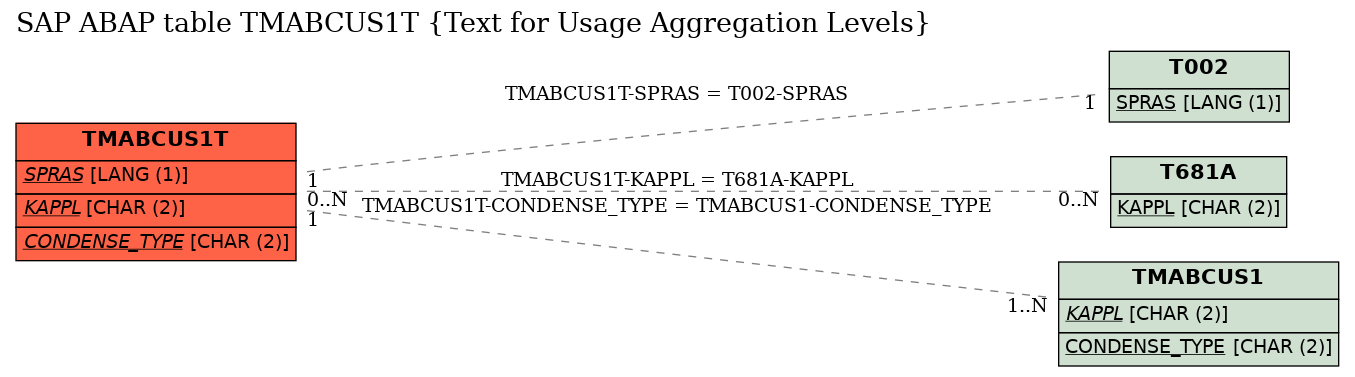 E-R Diagram for table TMABCUS1T (Text for Usage Aggregation Levels)