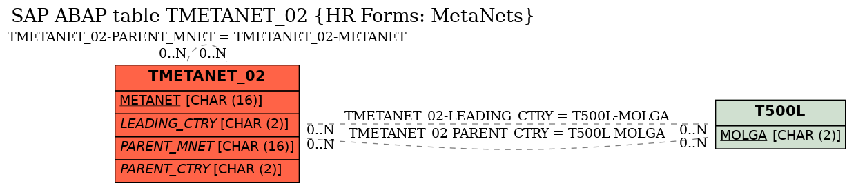 E-R Diagram for table TMETANET_02 (HR Forms: MetaNets)